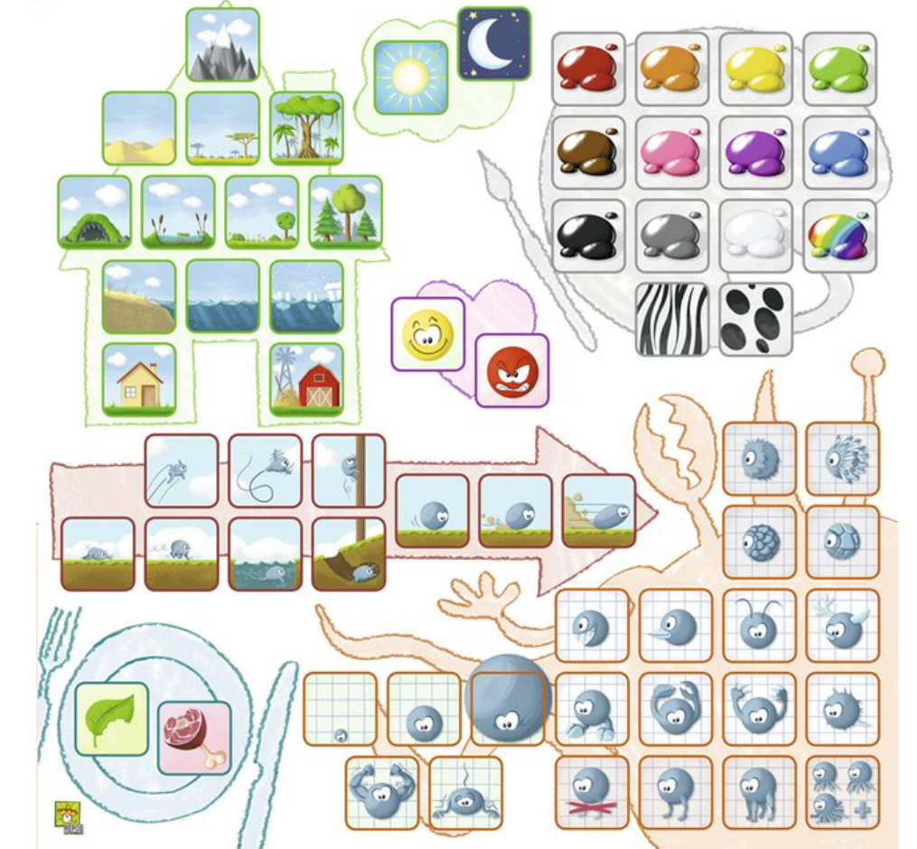 Concept Kids Animaux